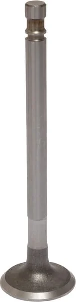 Raico - 4579417N - Exhaust Valve