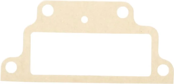 Raico - 83948101N - Pump Gasket