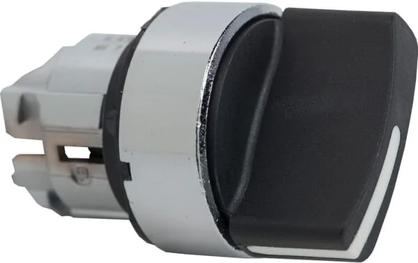 Schneider Electric - ZB4BD2 - Selector Switch, 2 Positions, Enlarged