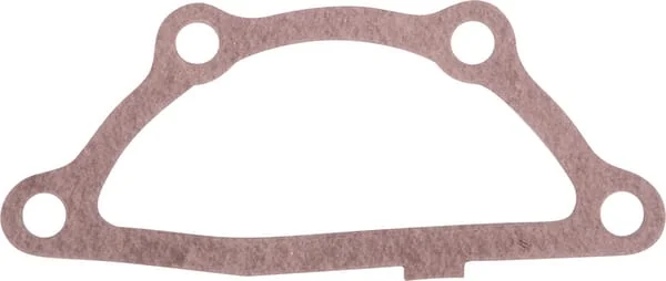SDF - 001039580 - Gasket