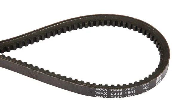 SDF - 04452801 - V-Belt