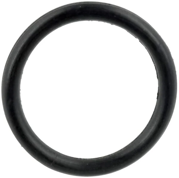 SDF - 215390180 - Oil Gasket 18.75x2.62mm