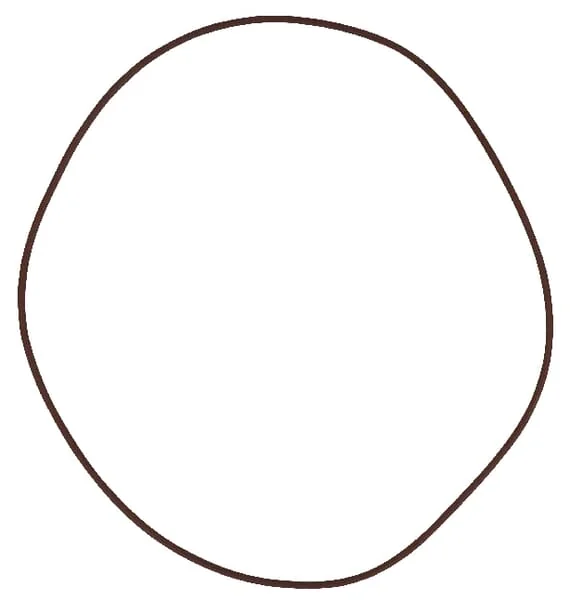 SDF - 215391180 - Brake O-Ring