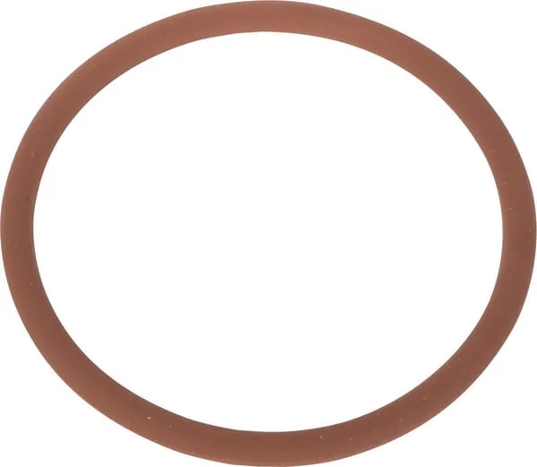 SDF - 215391400 - Water Pump Gasket
