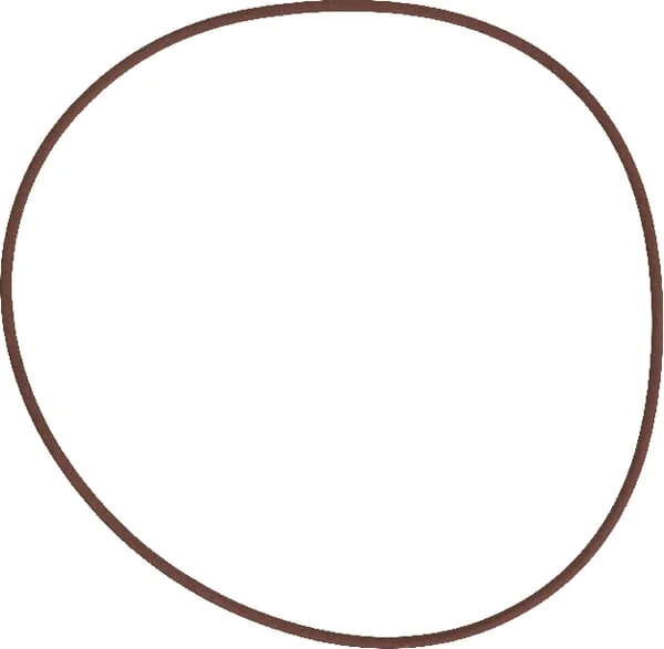 SDF - 215391770 - Brake O-Ring