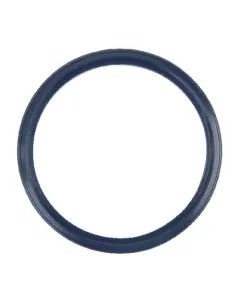 SDF - 4305924 - Seal Ring SDF