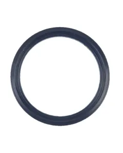 SDF - 4308375 - Gasket SDF
