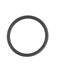 SDF - 4384345 - SDF Sealing Ring 26 x 2.5