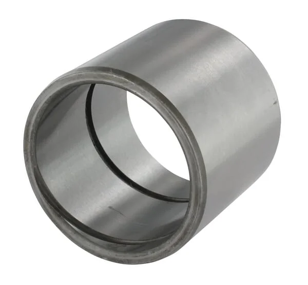 Sibo - SBR556560 - Bush