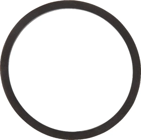 TeeJet - CP12291VI - Gasket Viton
