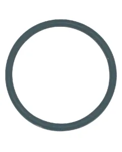 Teejet - CP77172226VI - Sealing Ring