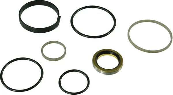 Trioliet - 05001 - Seal Kit For Sawing Cylinder Mullos