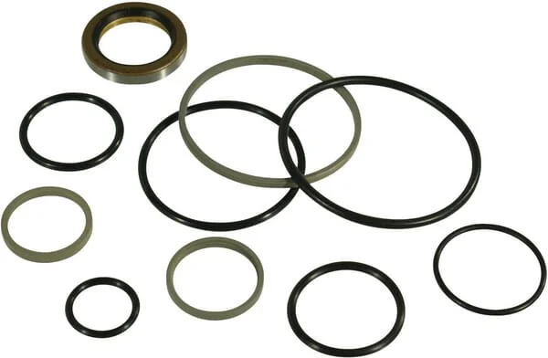 Trioliet - 05002 - Seal Kit For Sawing Pump Mullos