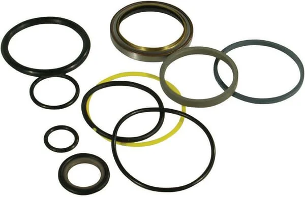 Trioliet - 05021 - Seal Kit For 50024 Cylinder Mullos
