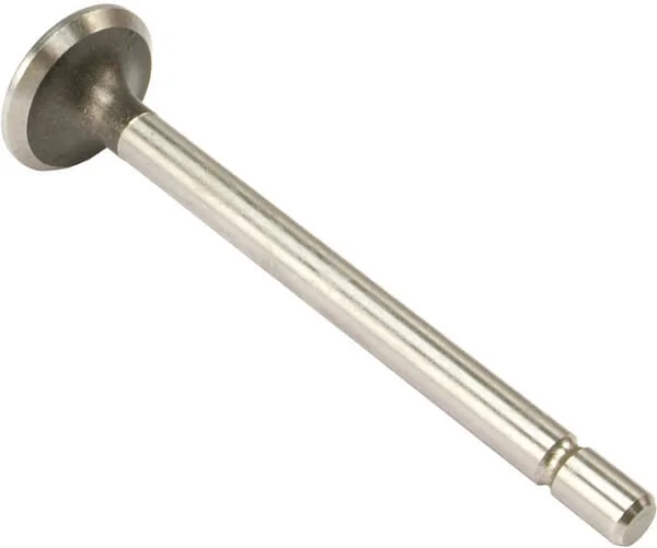 Vapormatic - VPA1020 - Exhaust Valve (x4)