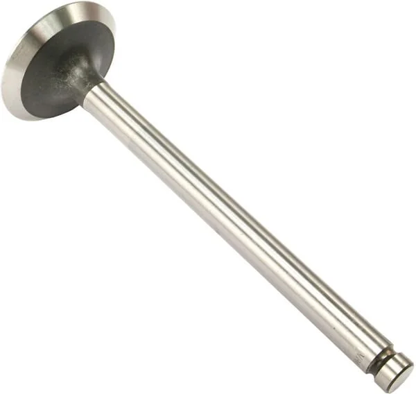 Vapormatic - VPA1150 - Exhaust Valve (x4)