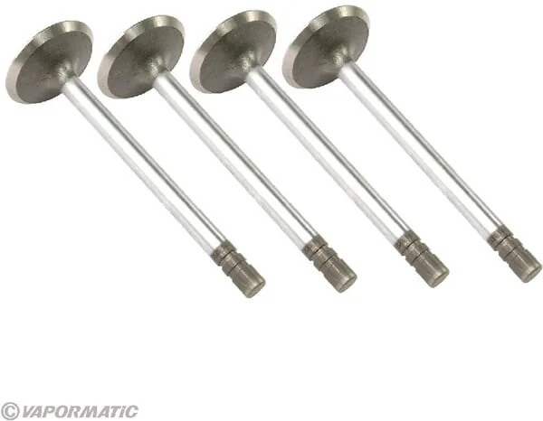 Vapormatic - VPA1350 - Inlet Valve (x4)