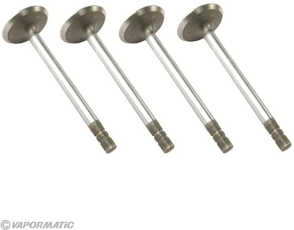Vapormatic - VPA1352 - Inlet Valve (x4)