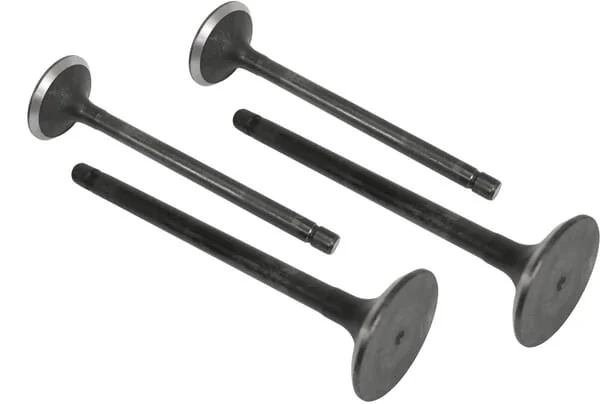 Vapormatic - VPA1660 - Exhaust Valve (x4)