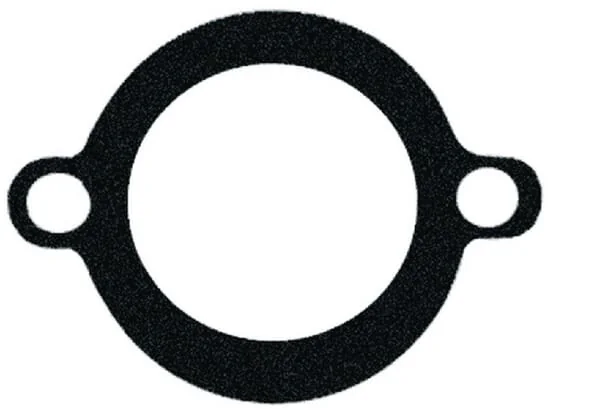 Vapormatic - VPE3920 - Thermostat Housing Gasket (x10)