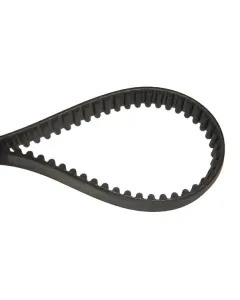 Wolf Garten - 0039003 - Timing Belt 30E Scarifier