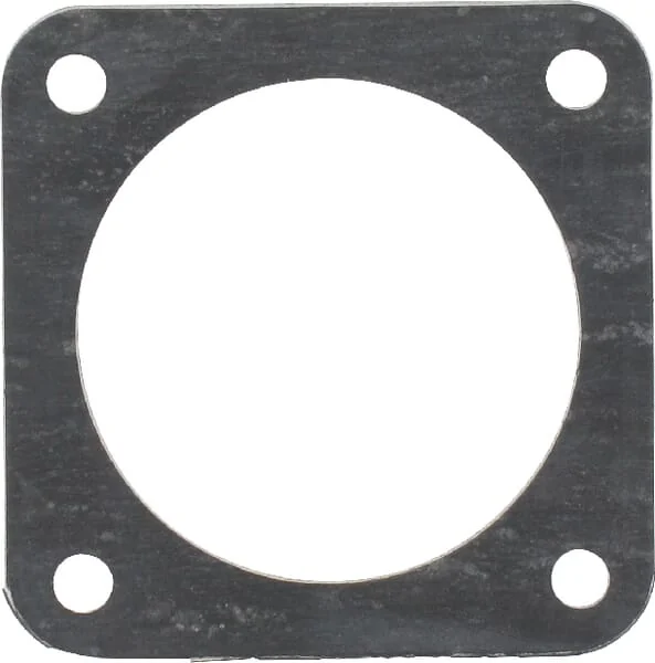Zetor - 70011303 - Thermostat Gasket