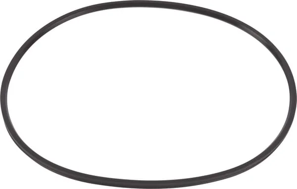 ZF - 0501319994 - O-ring