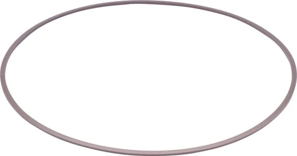 ZF - 0750112095 - Support Ring