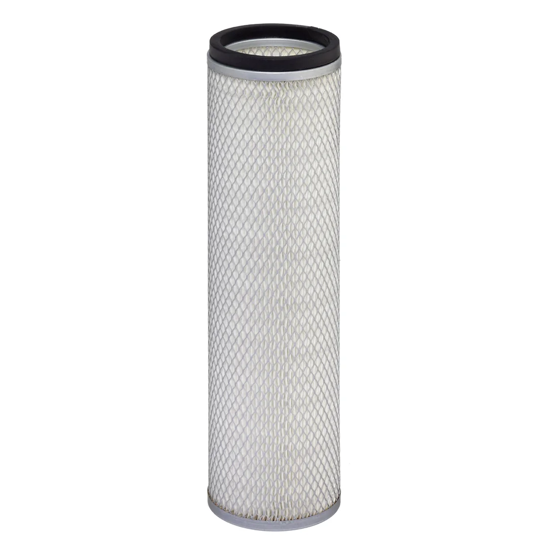 Hengst - E2062LS D666 - Secondary Air Filter