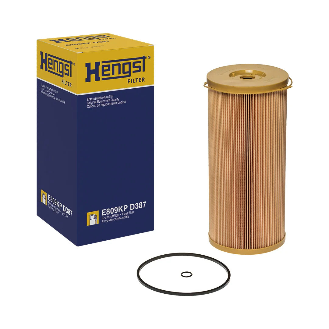 Hengst - E809KP D387 - Fuel Filter Insert