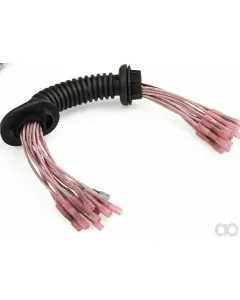 Herth Buss - 51276546 - Cable 7POL. KST Plug/Coupling M