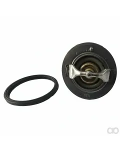 Iseki - 651377002210 - Thermostat