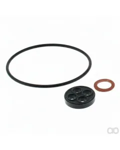 Joist - 16010ZG1015 - Seal Kit Carburetor