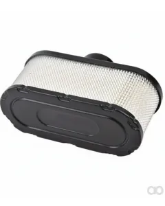 Kawasaki - 110132132 - Air Filter FE170G