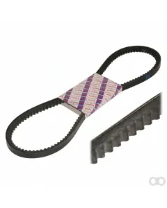 Landini - 2614B667 - Belt