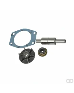 Landini - 3641352M91 - Water Pump Kit