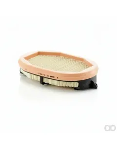 Manitou - N50352455 - Air Filter Secondary