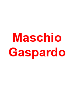 Maschio Gaspardo - M38100107R - ZAPFWELLE P.D.F. 1'3/8 Z21