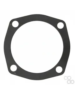 Massey Ferguson - 040938R1 - Shim
