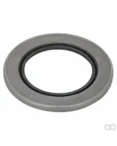 Massey Ferguson - 1613239M1 - Gasket