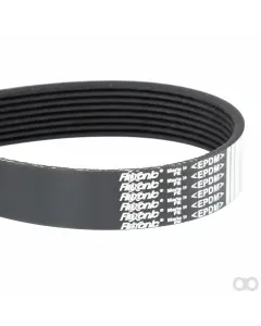 Massey Ferguson - 350880010090 - Serpentine Belt, PK8 Profile