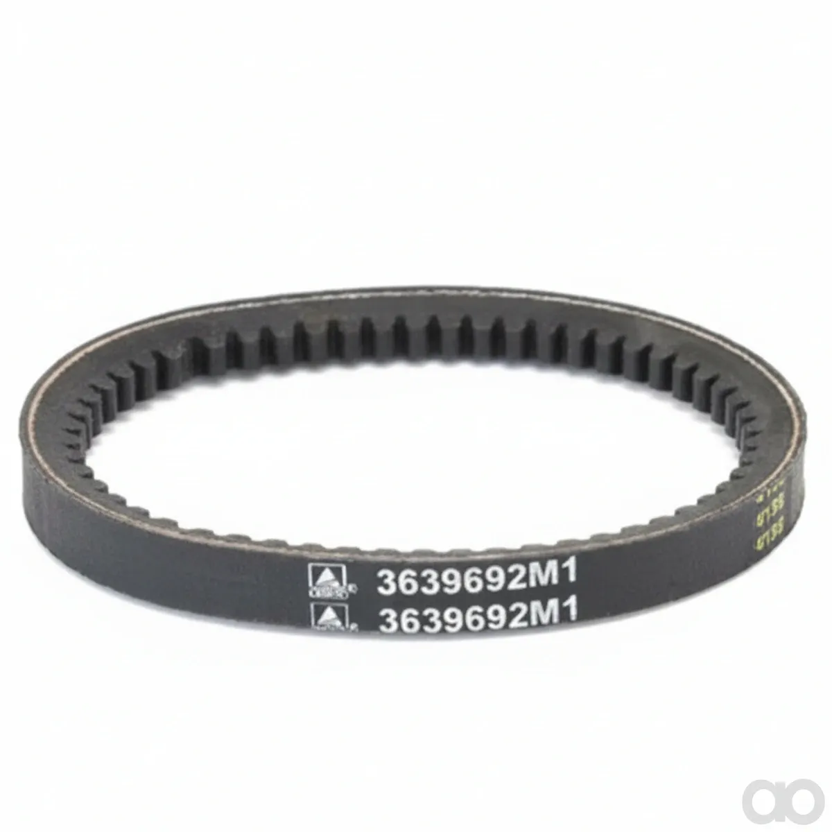 Massey Ferguson - 3639692M1 - V-Belt