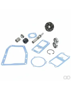 Massey Ferguson - 3641385M91 - Water Pump Repair Kit 4.236 New