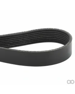 Massey Ferguson - 515758D1 - Serpentine Belt, PK8 Profile