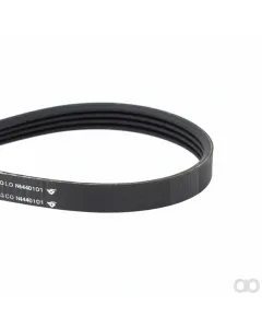 Massey Ferguson - 564691D1 - Belt