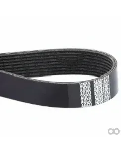 Massey Ferguson - 565812D1 - Serpentine Belt, PK8 Profile