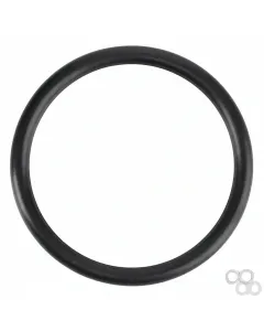 Massey Ferguson - 70925919 - O-Ring, Hydraulics