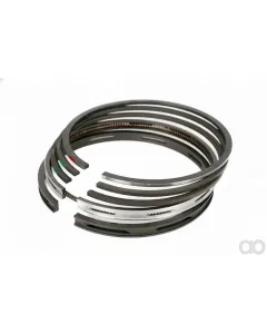 Massey Ferguson - 745749M91 - Piston Spring Set =NML=