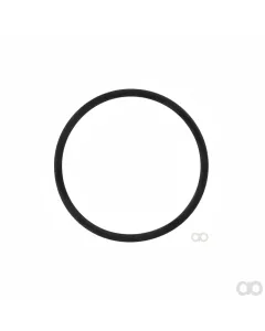 Massey Ferguson - ACP0408420 - O-Ring