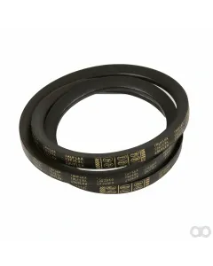 Massey Ferguson - D41996700 - Narrow V-Belt